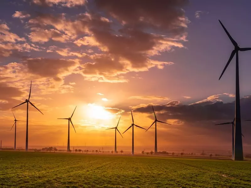 Una Terra announcing first appointment for its Sustainability Impact Committee